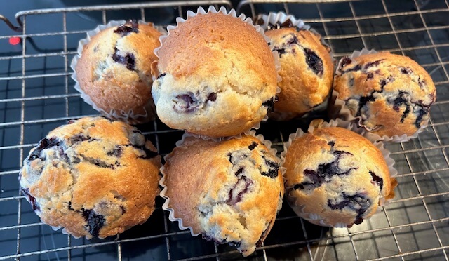 Kim’s Blueberry Muffins…